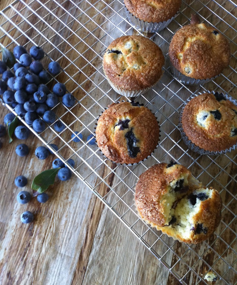 Buttermilk blueberry muffins