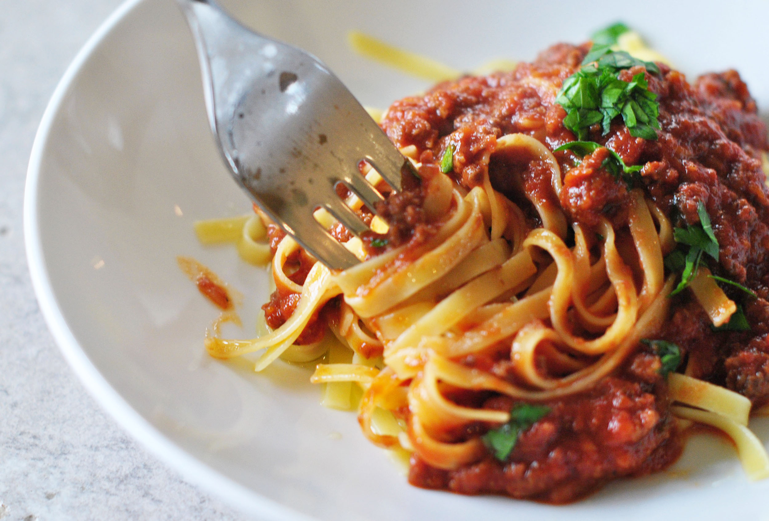 Bison Bolognese